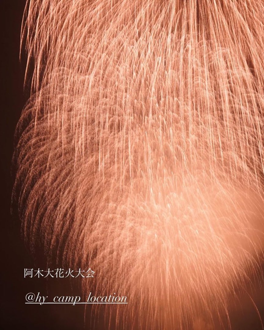 阿木の夜空に上がる花火