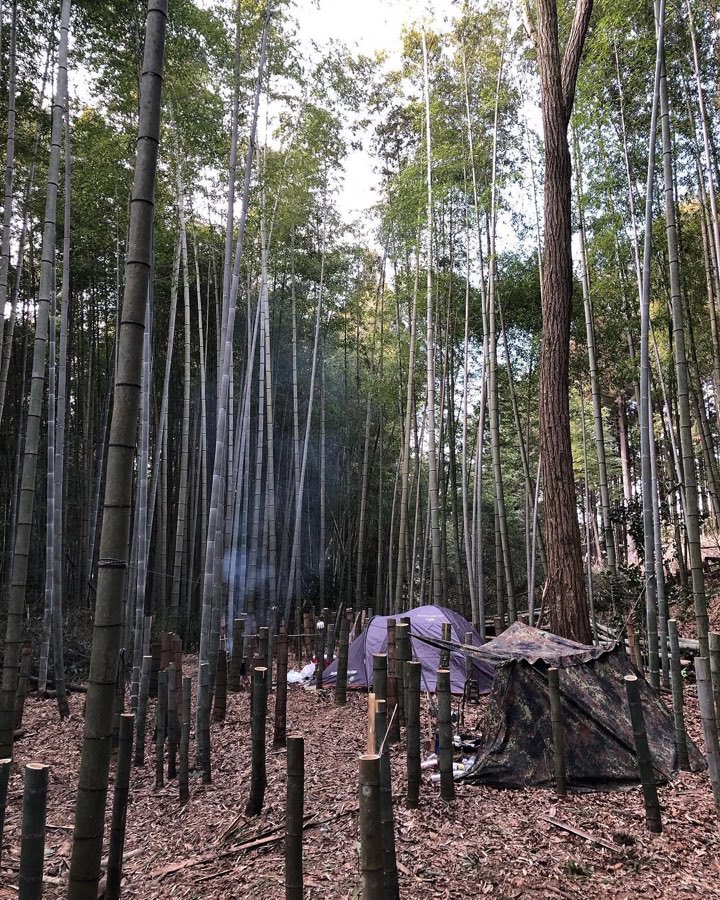 竹林サイト